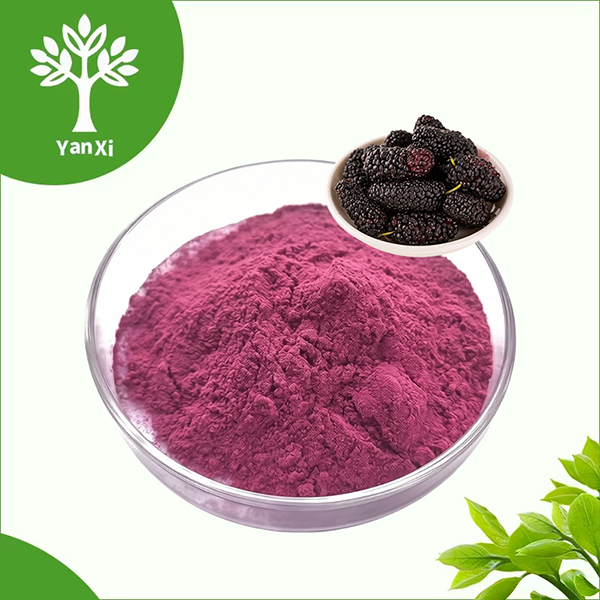 Bulk Mulberry Powder Bulk Mulberry Powder